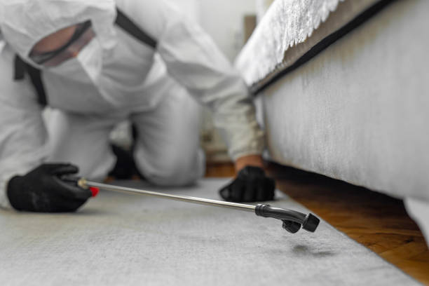 Professional Bed Bug Control technician working in Falmouth Foreside, ME