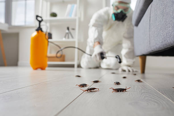 Trusted Emergency Pest Control service in Falmouth Foreside, ME - Nex Pest Control