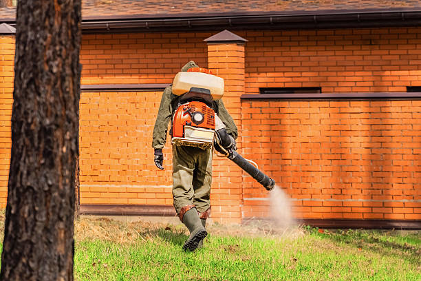 Trusted Bed Bug Control service in Falmouth Foreside, ME - Nex Pest Control